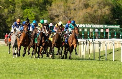 tampa bay downs entries|todays entries at tampa.